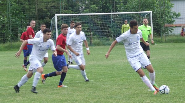 Projektil Ristovića za ceo plen iz Ribnice, Zona Morava