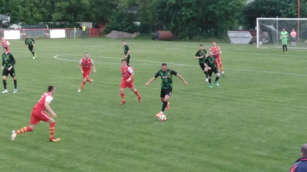 IMT siguran na Brodarcu, Srpska liga Beograd