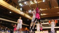 Kup Koraća: Davidovac i Lazić odveli Zvezdu u finale