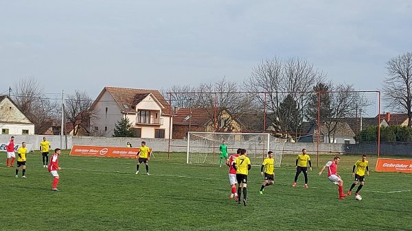 Dobanovčanima jedan gol dovoljan za tri boda, Prva liga Srbije