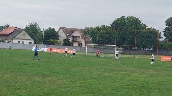 Miroljubivo u Dobanovcima, Prva liga Srbije