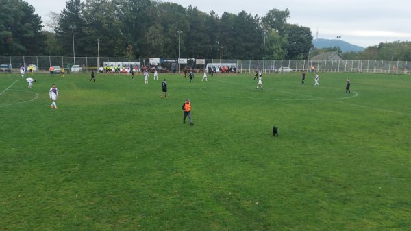 Torlak nastavio pobedonosnu seriju, Beogradska zona