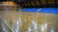 KMF Kopaonik u debitantskom meču domaćin Zvezdi iz Aleksinca, FSRIS Regionalna liga - grupa Sever