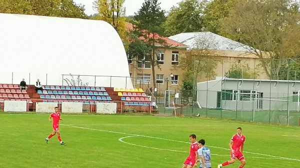 Omladinci IMT-a negostoljubive komšije, Omladinska liga Srbije