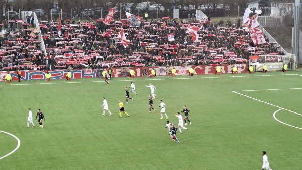 Zvezdina samba na Banovom brdu, Mozzart Bet Super liga Srbije